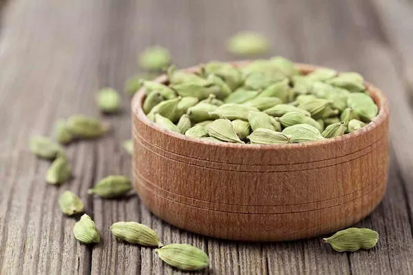 راهنمای خرید هل درجه یک + قیمت عالی