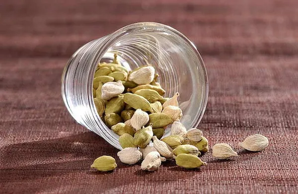 راهنمای خرید هل درجه یک + قیمت عالی
